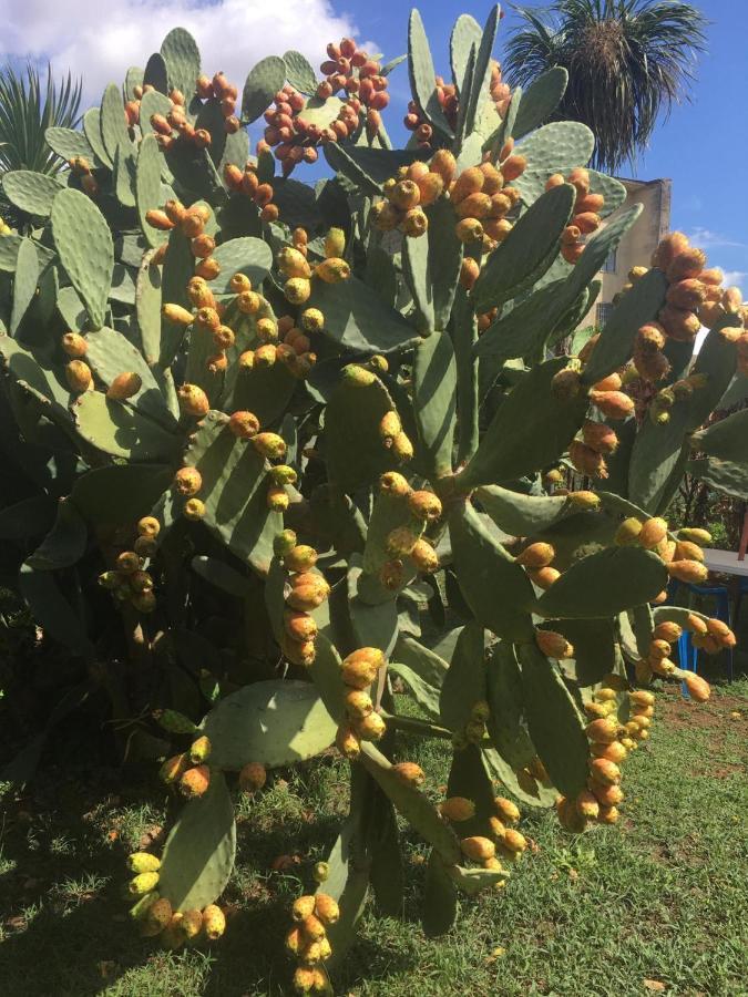 Residenza Caserta Sud - Appartamento Con Giardino Eksteriør bilde